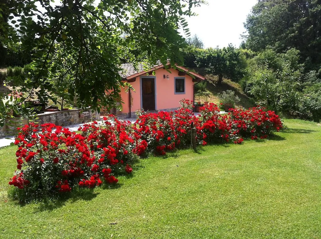 Appartamento Colonica Poggio Renai Castelfranco di Sopra